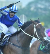 Jamal Malik<br>Photo by Singapore Turf Club